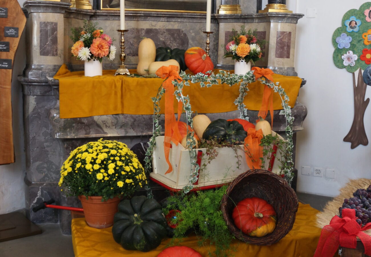 IMG 9236 IMG 9236