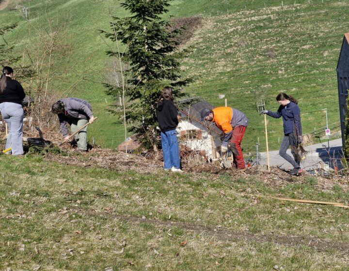 Förster LP Schüler Hand In Hand