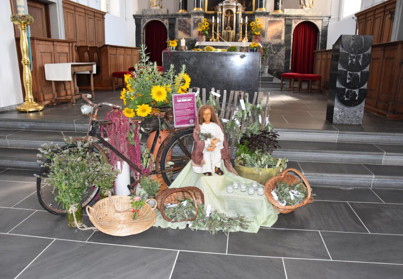 DSC 0409 DSC 0409