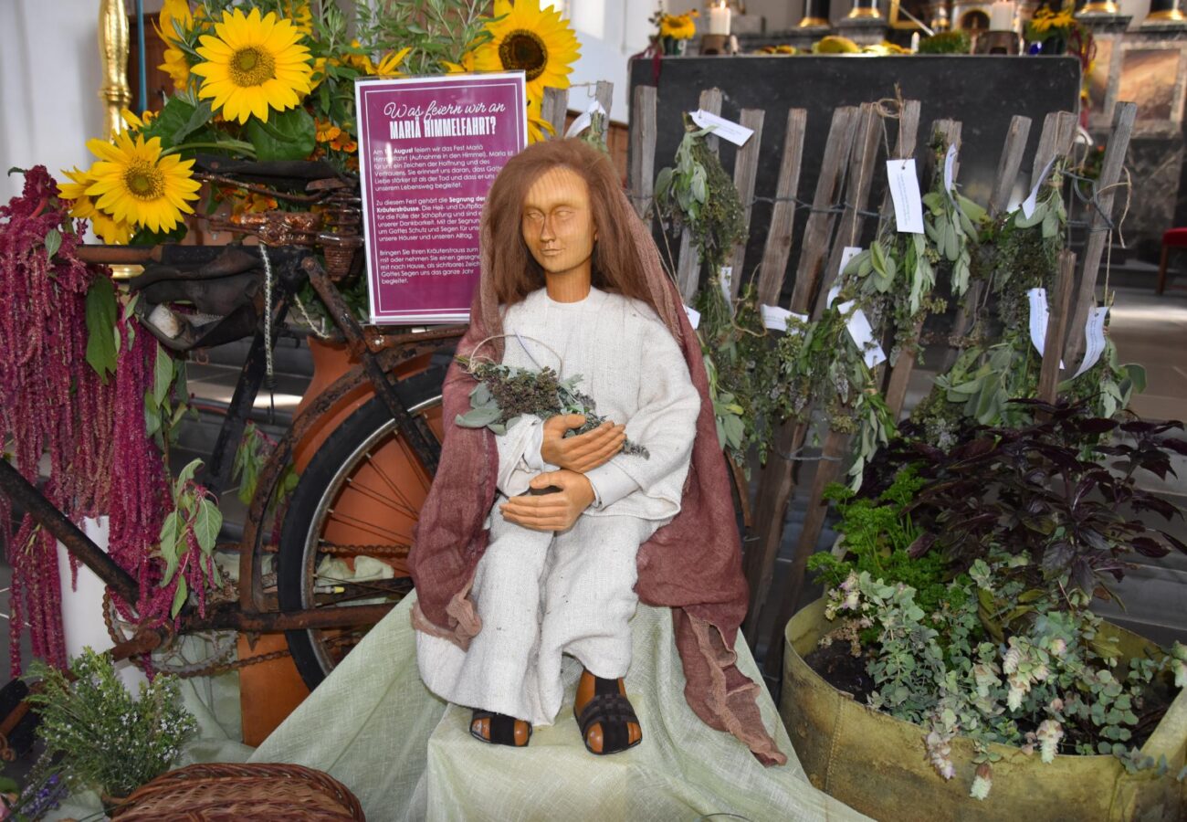DSC 0410 DSC 0410
